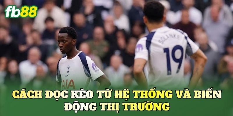 Cách đọc kèo từ hệ thống và biến động thị trường