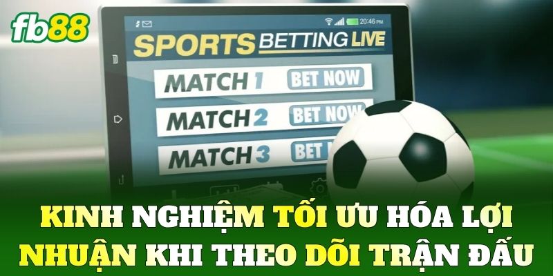 Kinh nghiệm tối ưu hóa lợi nhuận khi theo dõi trận đấu