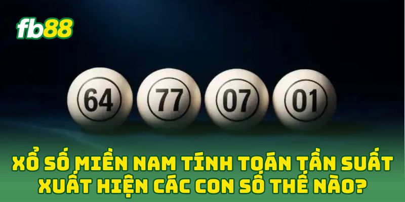 Xổ Số Miền Nam tính toán tần suất xuất hiện các con số thế nào?