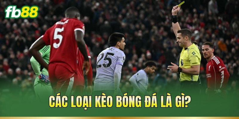 Các loại kèo bóng đá là gì?