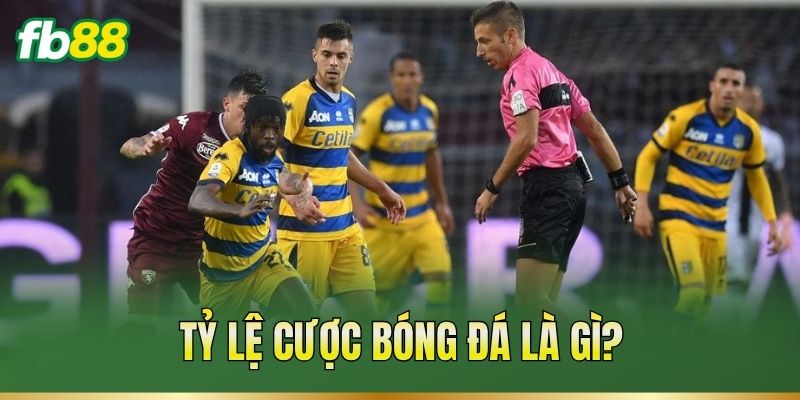 Tỷ Lệ Cược Bóng Đá – Cách Đọc Mốc Và Tính Tiền Cược 1 Tỷ lệ cược bóng đá là gì?
