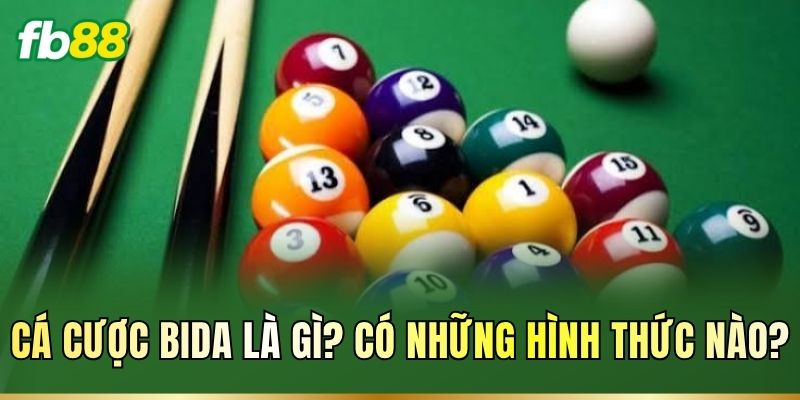 Cá cược Bida là gì? Có những hình thức nào?
