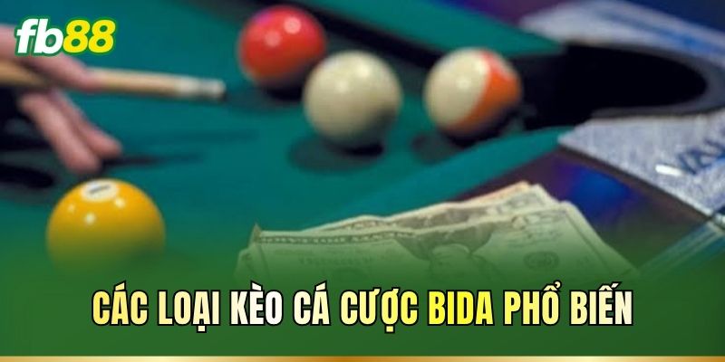 Các loại kèo cá cược Bida phổ biến
