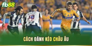 Cách Đánh Kèo Châu Âu