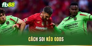 Cách Soi Kèo Odds