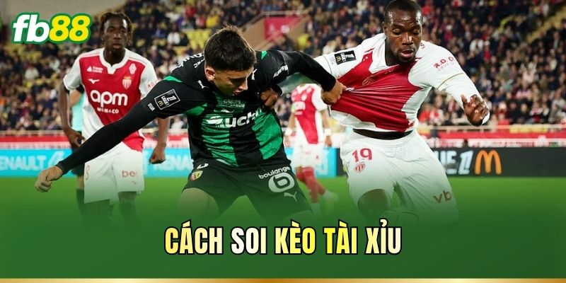 Cách Soi Kèo Tài Xỉu