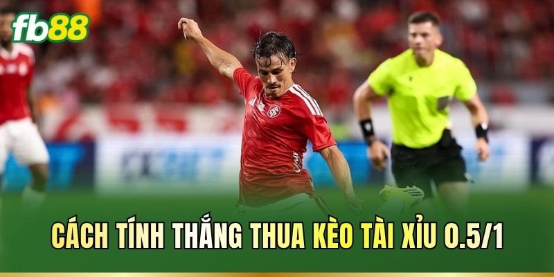 Cách tính thắng thua kèo Tài Xỉu 0.5/1