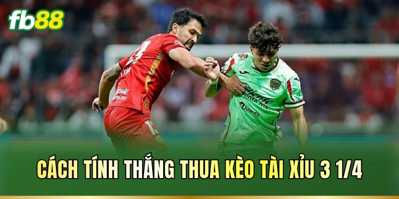 Cách tính thắng thua kèo Tài Xỉu 3 1/4