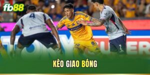 Kèo Giao Bóng
