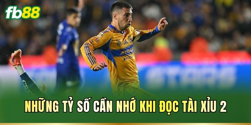 Những tỷ số cần nhớ khi đọc Tài Xỉu 2