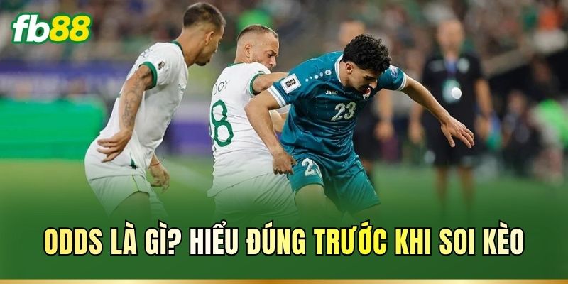 Odds là gì? Hiểu đúng trước khi soi kèo